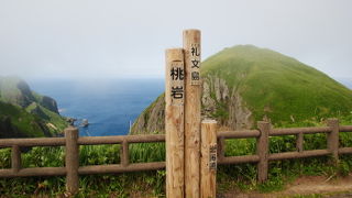 高山植物の宝庫です