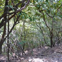 最初の方　余裕あり