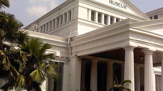 貴重なジャワ原人の化石