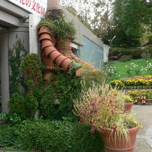 大阪府立花の文化園（おおさかふりつはなのぶんかえん）