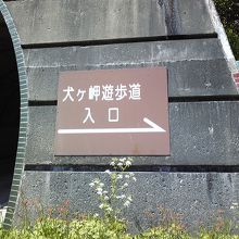 トンネル出口の右側をよーく見ると…「犬ヶ岬遊歩道」の看板が。