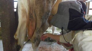 大人も十分たのしめました。