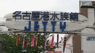 せんべい館は多くの人でした。