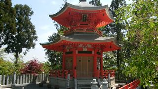 桜や紅葉の季節は賑わいます