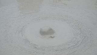 坊主頭に似ている？？