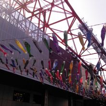 たくさんのカラフルな鯉のぼり