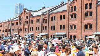 喜んでる?もう休ませて?