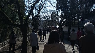 秋月の中心の通り