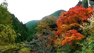 高齢者でも登山しやすい山金剛山（こんごうさん）