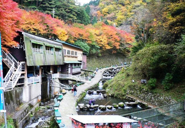 千早川の清流を利用した金剛山マス釣り場