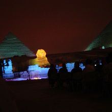 ライトアップを楽しむ。（有料）