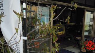 来宮神社のこがしまつりで使われるおまんじゅう