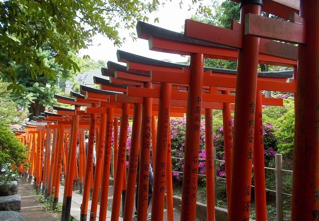 根津神社 クチコミ アクセス 営業時間 谷根千 フォートラベル 根津神社 クチコミ アクセス 営業時間 谷根千 フォートラベル