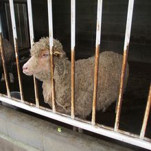 福知山市動物園