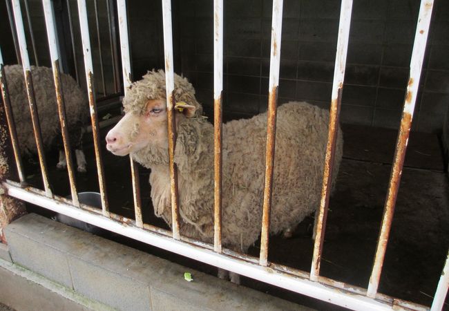 福知山市動物園