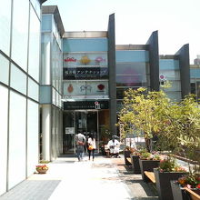 入口右下に恐竜が座っています。