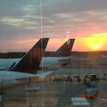 窓の反射がありますが成田空港のジャンボ機と夕日です。