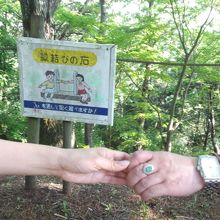 何とかとどきました