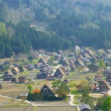 展望台からの眺めです