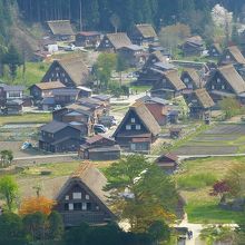 アップしてみました　　中国からの団体さんもいましたね