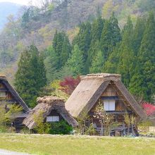 私この風景が好きで　行く度に撮ってます　四季折々違います