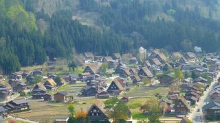 富山の帰りに　白川郷の展望台へ行ってきましたよ