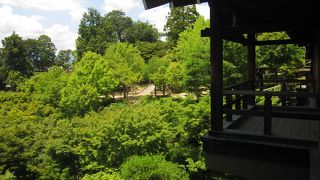 緑が素晴らしい