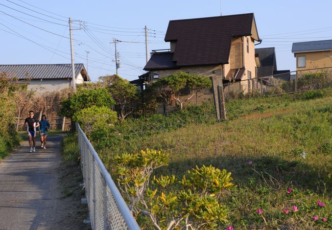 フェンスに囲まれた自生地