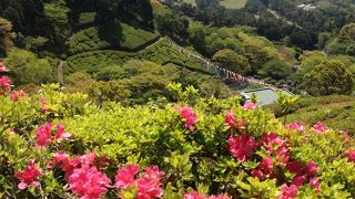 一日遊べそうです