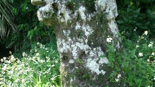 青年繁栄の獅子型の守り神