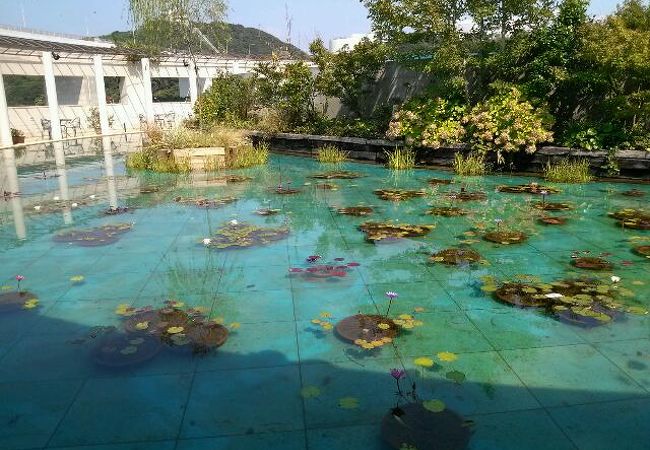 大塚国際美術館 クチコミ アクセス 営業時間 鳴門 フォートラベル 大塚国際美術館 クチコミ アクセス 営業時間 鳴門 フォートラベル