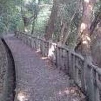 海岸へのルートは落ち葉に注意