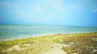 探すのは結構大変・・・