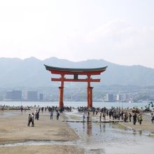 宮島。