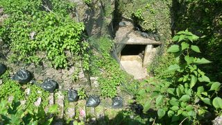 “降り井戸”と呼ばれるタイプの井戸