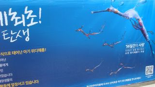 楽しめた水族館でした。