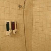 シャワー。湯量は◎