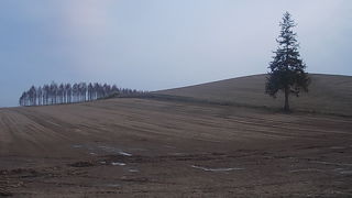 あまり観光地っぽくない風情が素敵でした