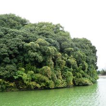 白鳥陵に治定されている軽里大塚古墳