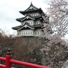 早朝の弘前城と桜