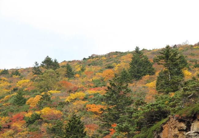 蔵王山 クチコミ・アクセス・営業時間｜蔵王温泉【フォートラベル】
