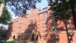 世界最高峰の大学