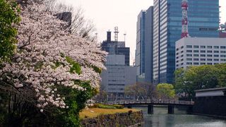 皇居の内濠に架かる橋としては数少ない「擬宝珠（ぎぼし）」 付きの欄干を持った 木橋 