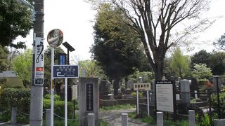 とても広い霊園です