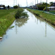 １５分くらい南に歩くと、こういうのどかな風景。