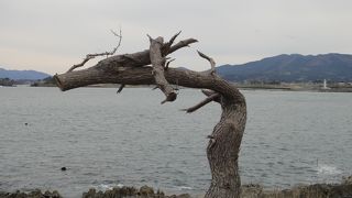 運が良ければ吹き岩が見られる！