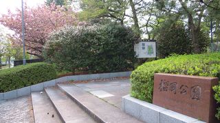 仙台駅周辺の桜ならここ？「榴岡公園」～仙台～