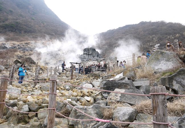 平日でも大賑わいの大涌谷