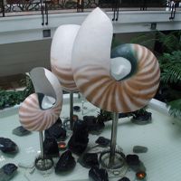 吹き抜けに設置してある何とも言えぬオブジェ！