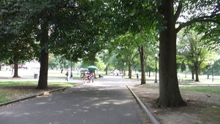 市内中心部にある公園